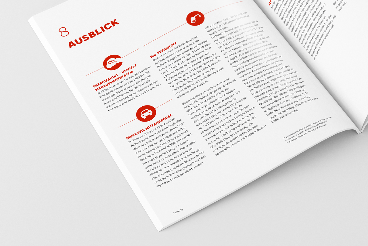 environmental report, Cornelia Hackl, information design